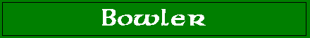 bowler banner