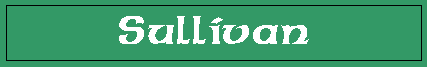 sullivan banner